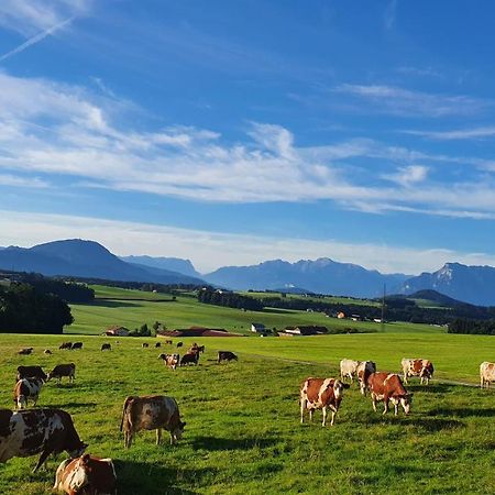 Idyllische Designer-Apartments Am Bio-Bauernhof In Salzburgerseenland Schmiding 10 Seekirchen am Wallersee Buitenkant foto