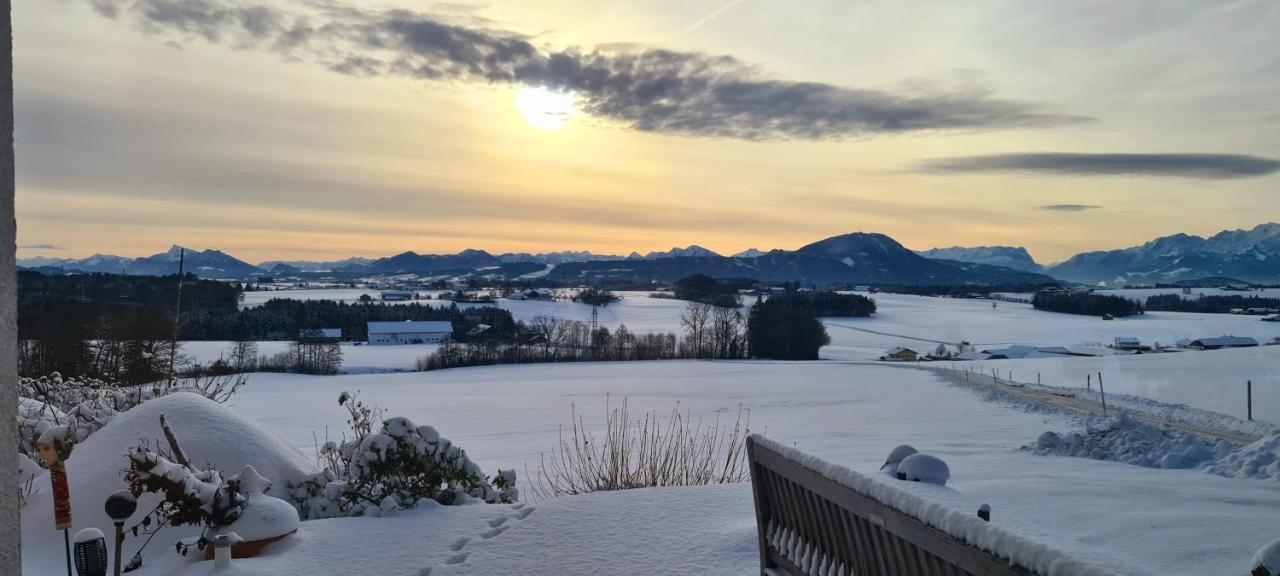 Idyllische Designer-Apartments Am Bio-Bauernhof In Salzburgerseenland Schmiding 10 Seekirchen am Wallersee Buitenkant foto