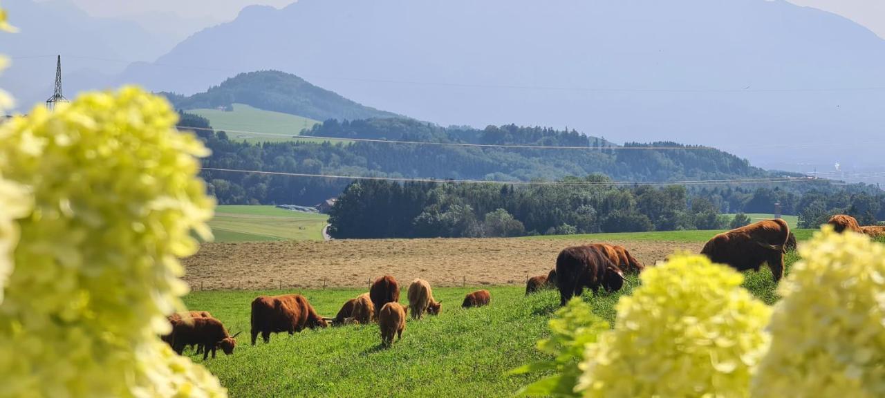 Idyllische Designer-Apartments Am Bio-Bauernhof In Salzburgerseenland Schmiding 10 Seekirchen am Wallersee Buitenkant foto